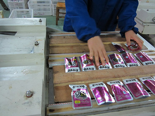 廠(chǎng)區(qū)掠影 (2)