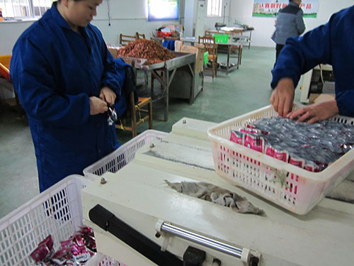 廠(chǎng)區(qū)掠影 (3)