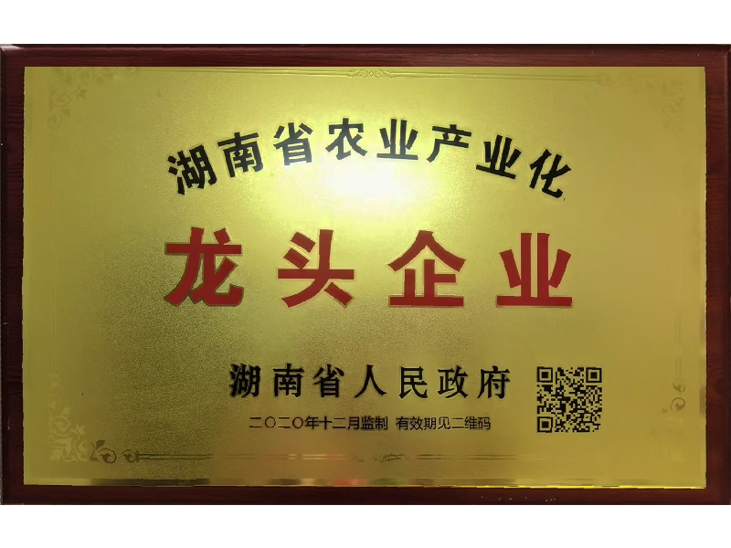 岳陽市漁之源食品有限公司,岳港漁都,洞庭魚港,散稱系列,田螺系列,臭豆腐加工，香豆腐加工，烤脖加工，魚仔,鴨排加工、雞丁加工代加工