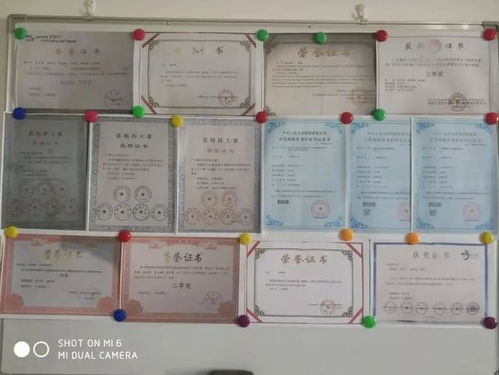 2020招新丨微云信息团队
